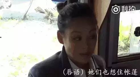 娱乐圈吃瓜群众的好朋友